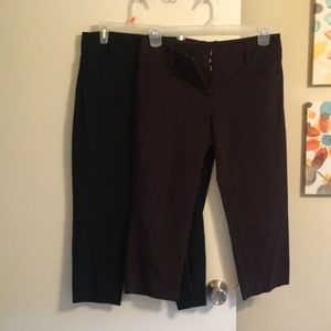 Bundle of dressy crops